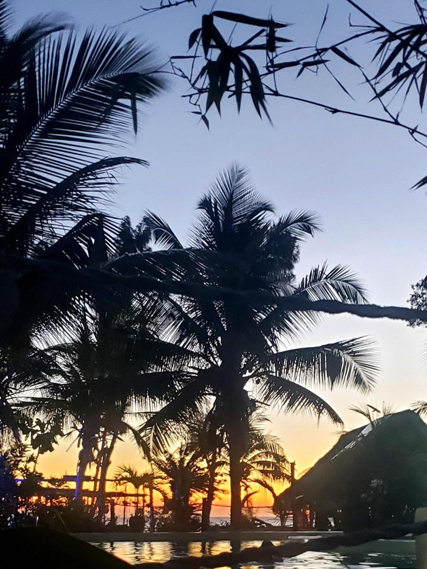 Promised Land Lodge Kizimkazi Ngoại thất bức ảnh
